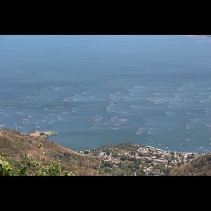 Meet your Posher, Mei